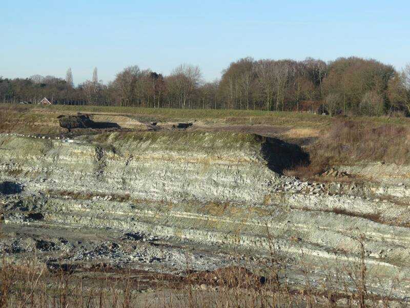 Close-up foto van Muschelkalk in Sibelco-groeve