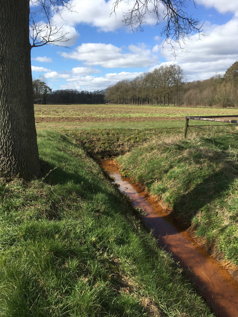 Foto van ijzerrijk kwelwater in sloot