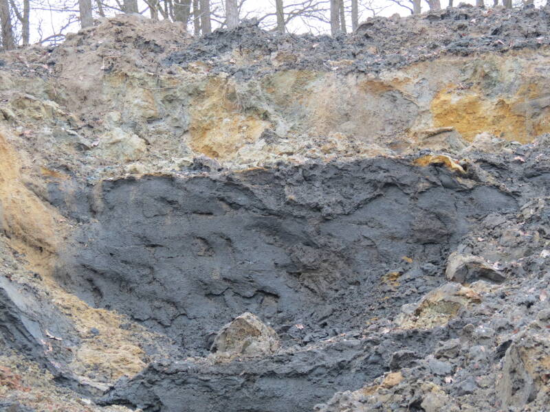 Grensvlak tussen kwartaire bodemlaag en onderliggende oligocene klei in "De Vlijt"