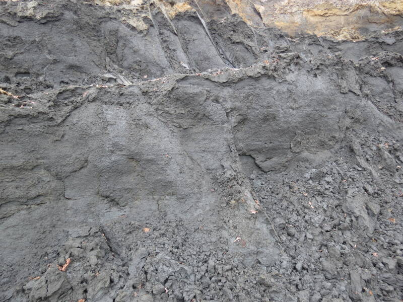 Wand van Rupelklei in kleigroeve "De Vlijt"