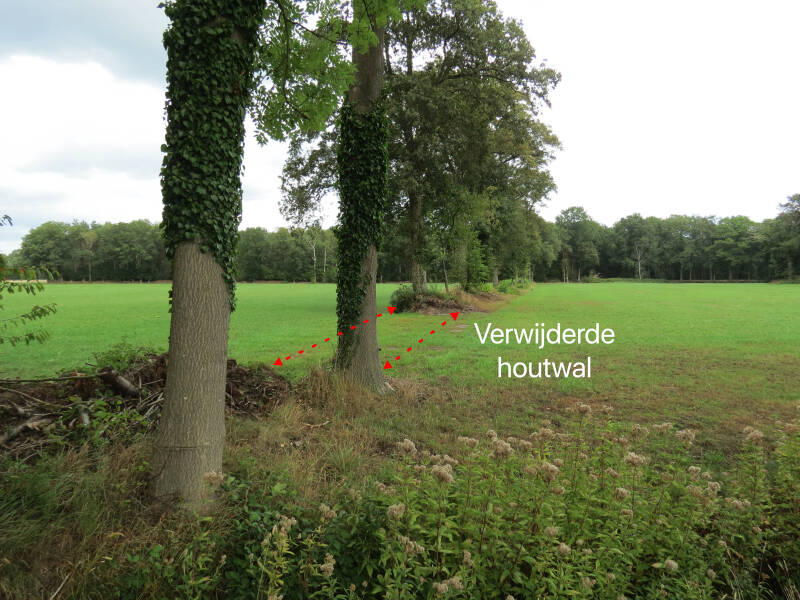 Foto van vernielde houtwal