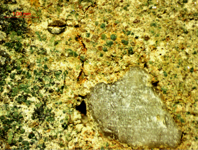 Microscopische foto van Vroeg-Krijt zandsteen uit de Boven Slinge