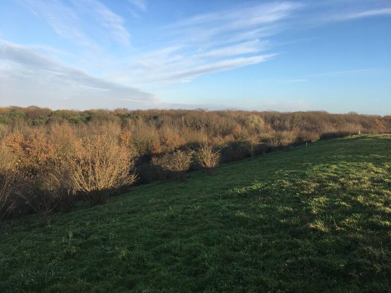 Foto vanaf Winterswijkse berg op voormalige vuilnisstort plaats