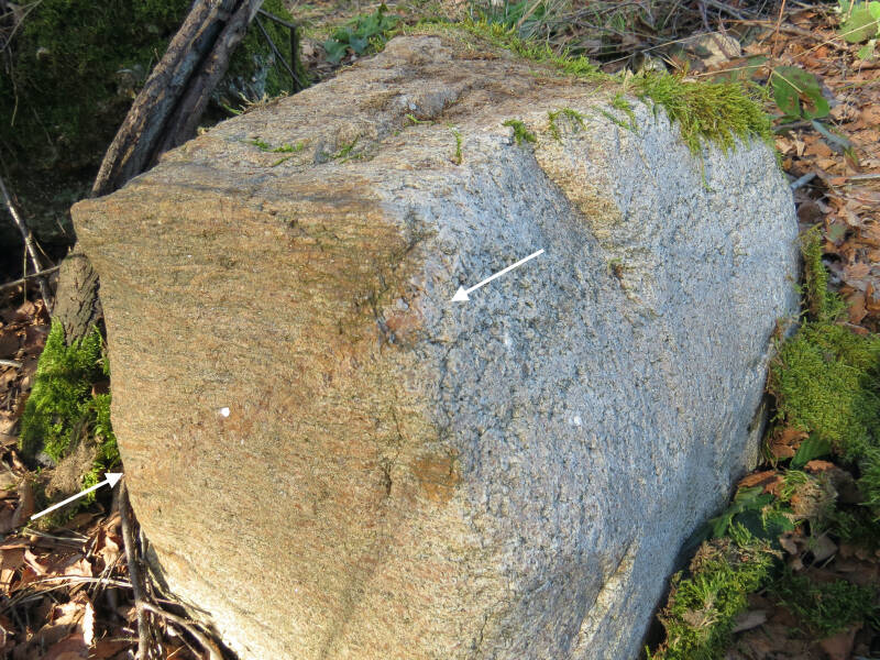 Foto van gneis gesteente.