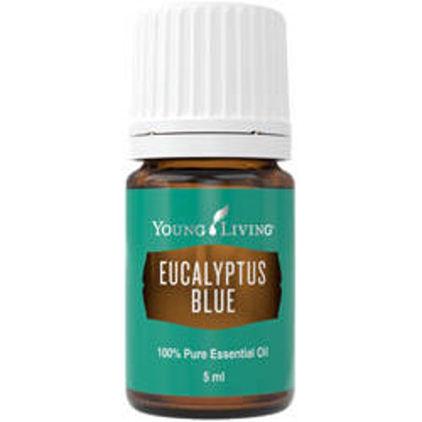 Eucalyptus Bkue 5ml Young Living