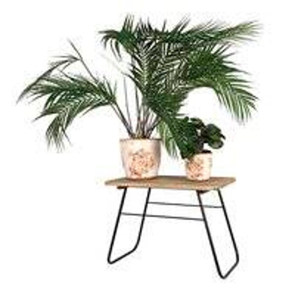 Clayre & Eef Plantentafeltje 46x26x33 cm Bruin Hout