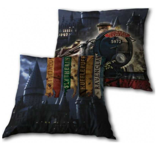 Coussin Harry Potter