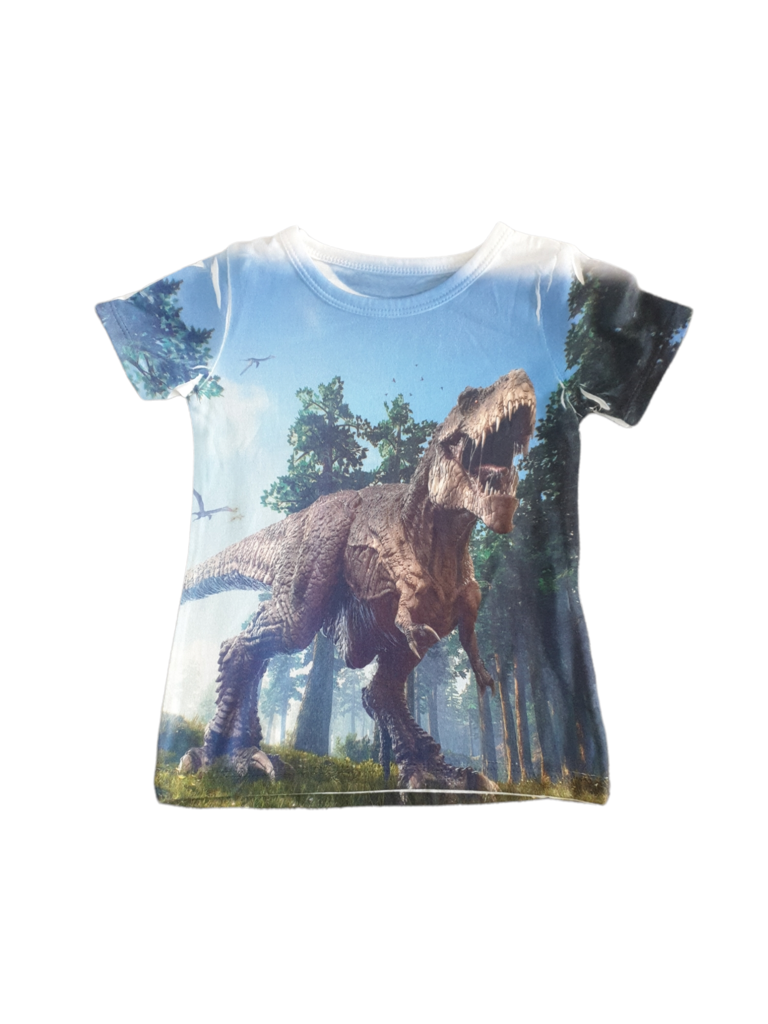 Tee-Shirt Dinosaure 2A/4A