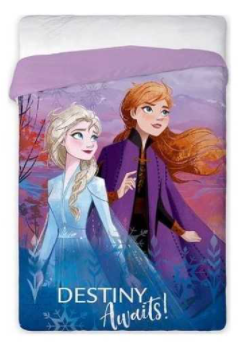 Couette Imprimée 1 Personne Frozen 2