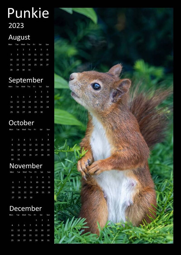 Punkie Calender