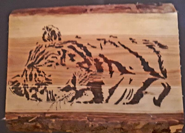 Wandbord Tijger