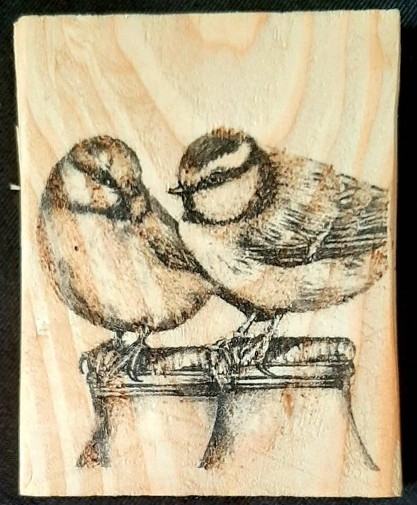 Wandbord Koolmeesjes op melkfles