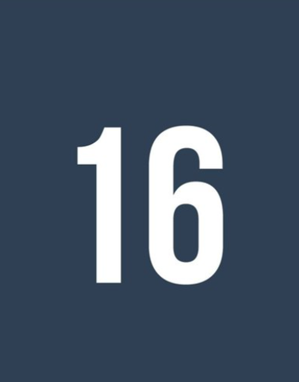 boordstof 16 blue wing teal - About blue