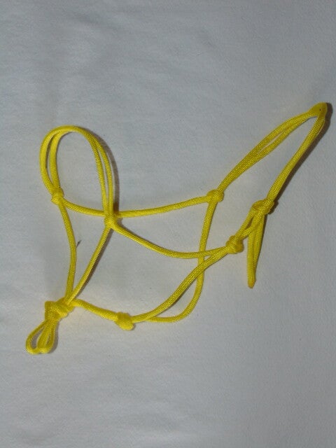 licol éthologique jaune hobby horse