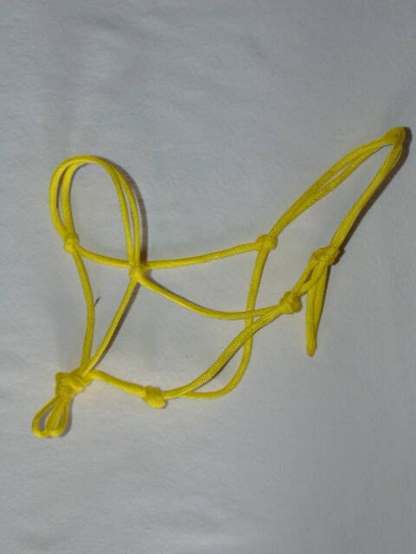 licol éthologique jaune hobby horse