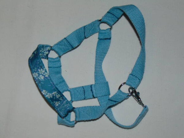 Licol Hobby Horse bleu