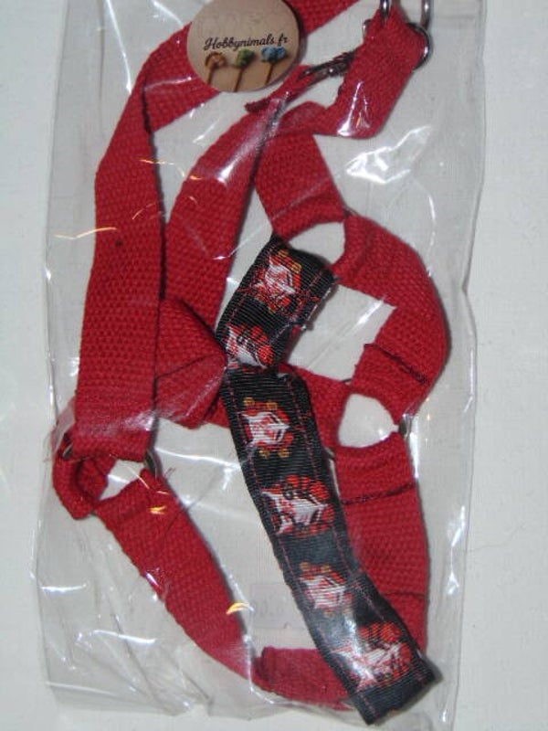 Licol Hobby Horse Rouge
