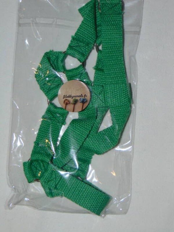 Licol Hobby Horse Vert