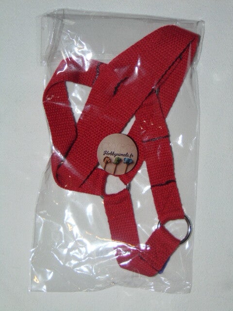 Licol Hobby Vache Rouge