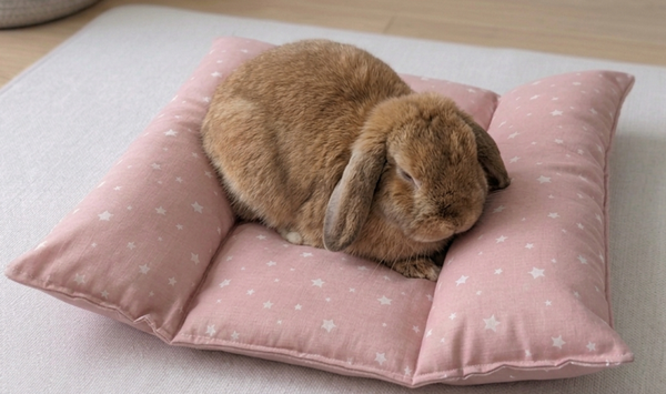 Coussin / Petit lit douillet pour lapin ou petit animal - ROSE