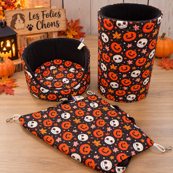 Ensemble Halloween pour cochon d’Inde