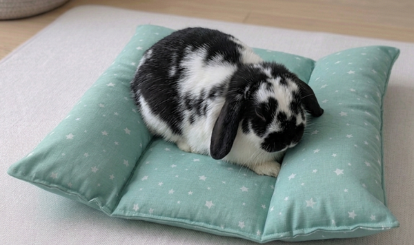 Snugabun - Coussin / Petit lit douillet pour lapin ou petit animal - VERT D'EAU