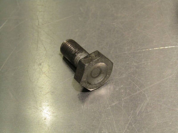 CAMPAGNOLO CHORUS/ATHENA 15mm Crank arm bolt 2nd hand TL03 01-B01-C04-06