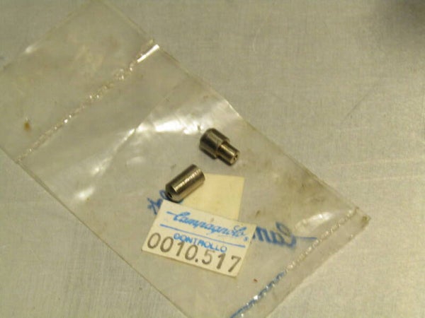 CAMPAGNOLO C RECORD ERA Vintage 90's chain stay housing feral set NOS! BB23 8787 RK02