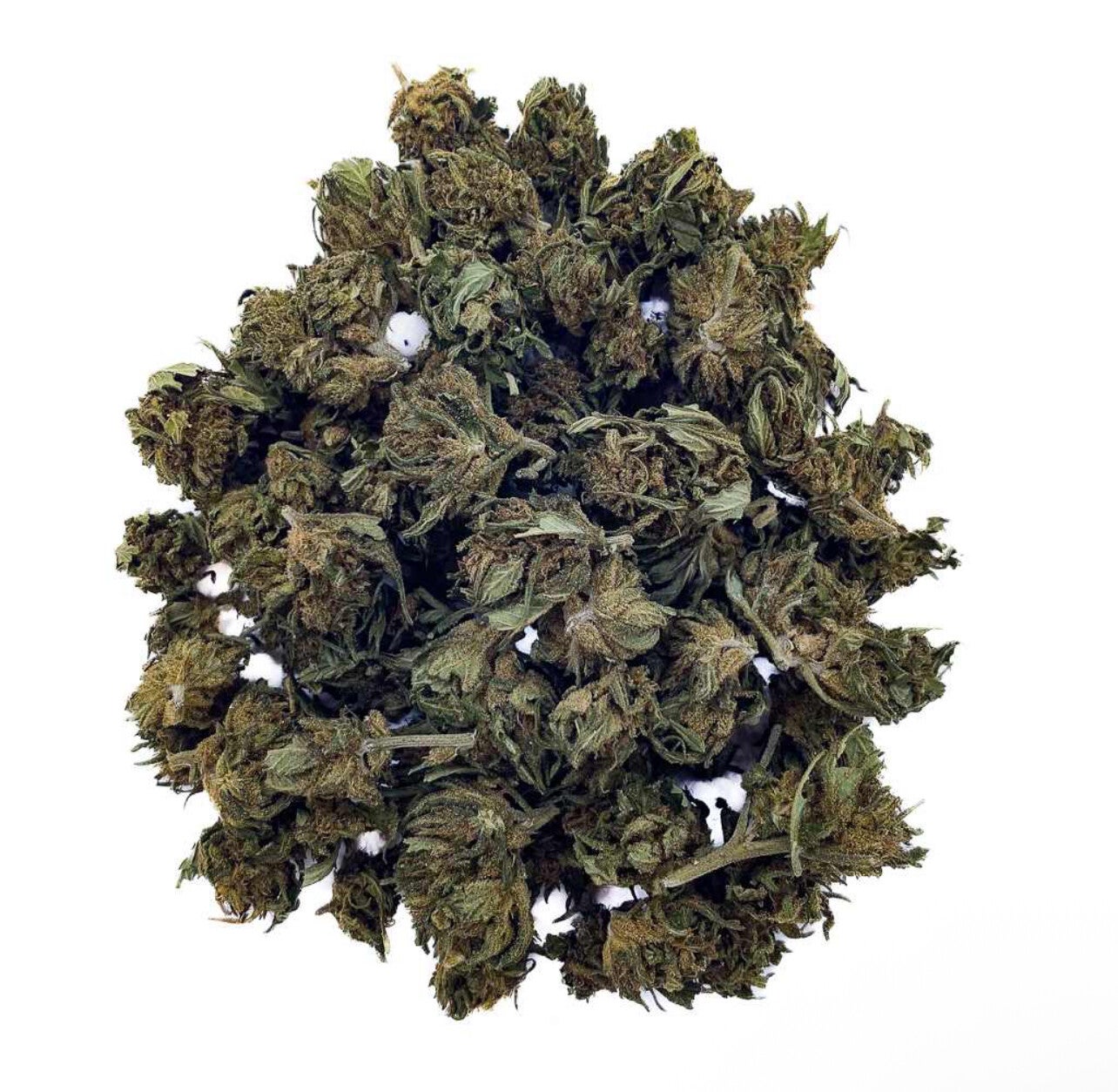 Super Skunk CBD – Small Bud – Green House
