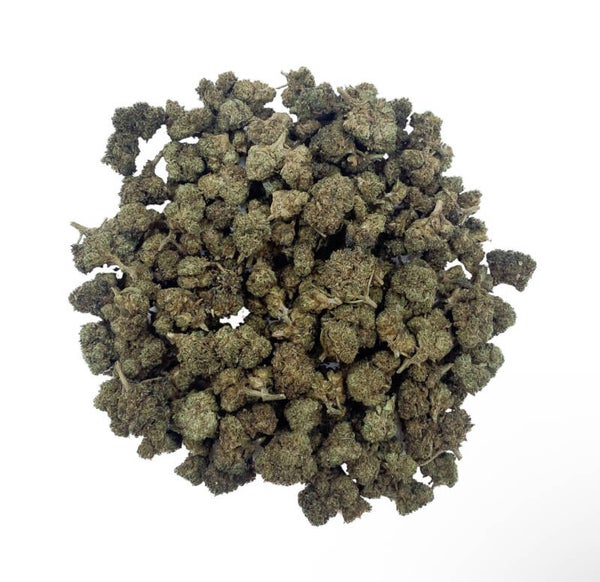 Lemon Haze THCX 2.0 – Small Bud – Glass-House