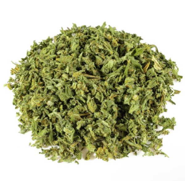 TRIM Amnésia Indoor – Zwitserland