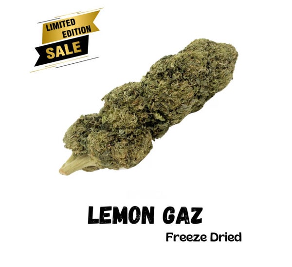 Lemon Gas Gevriesdroogde CBD