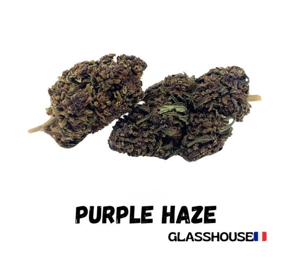 Purple Haze CBD