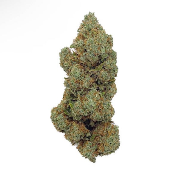 Lemon Skunk CBD – Big Bud – Indoor Hydro