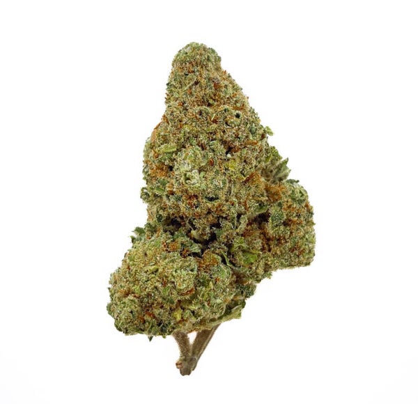 Verboden Cookie CBD – Bud Mix – Indoor-Hydro