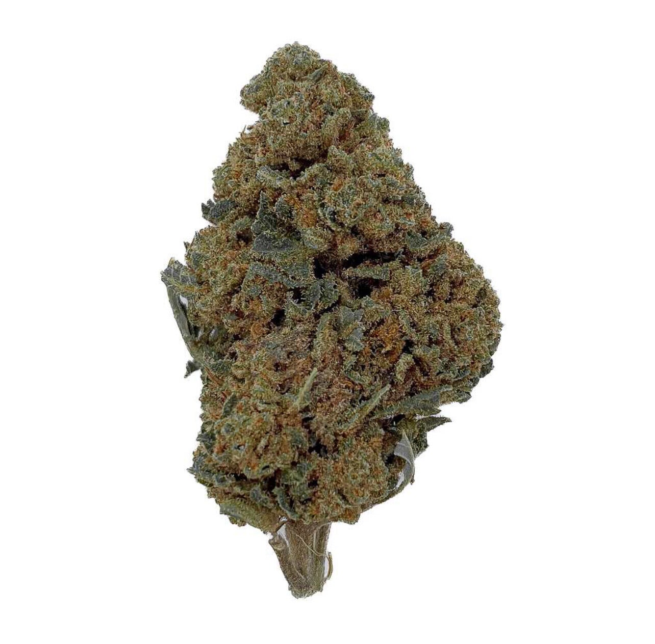 Watermelon THCX – Bud Mix – Glass-House