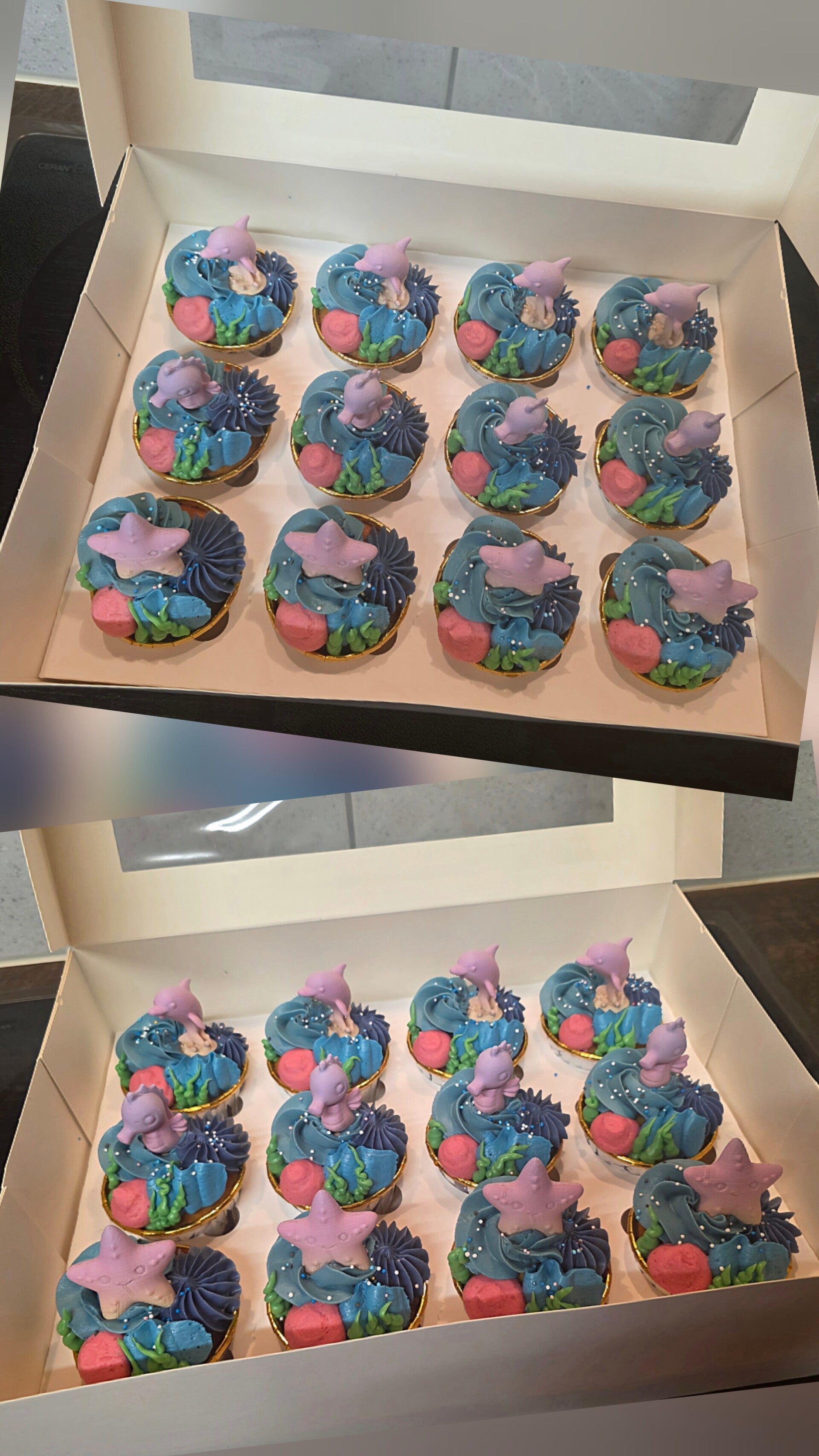CupCakes