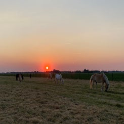 img_2496-standard.jpg