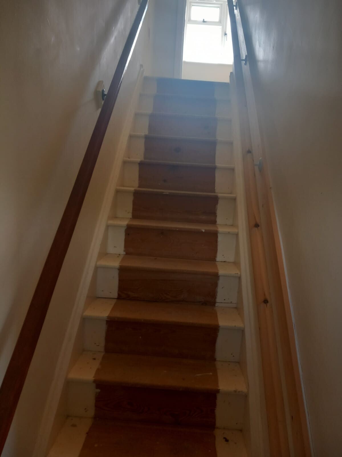 1000001096-standard.jpg