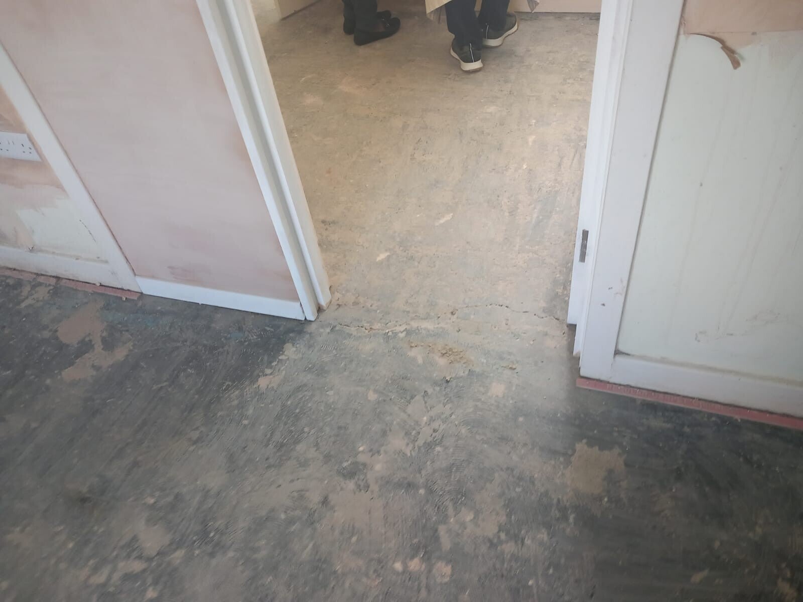 1000001110-standard.jpg