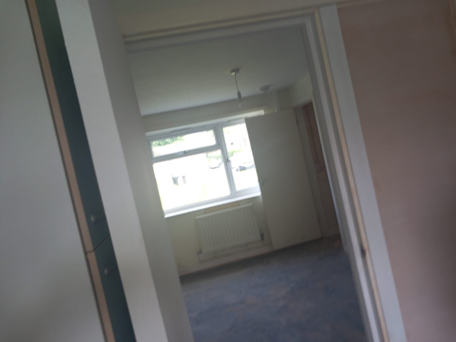 1000001118-standard.jpg
