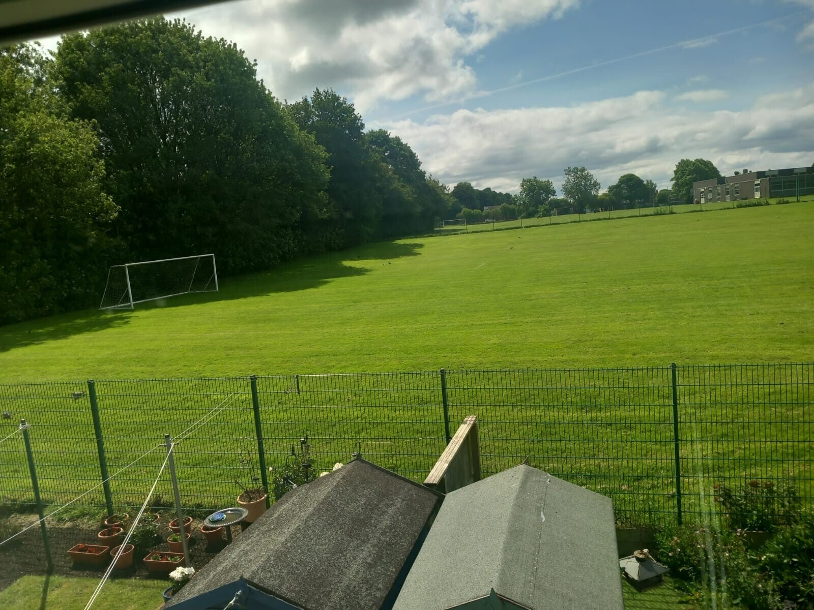 1000001133-standard.jpg