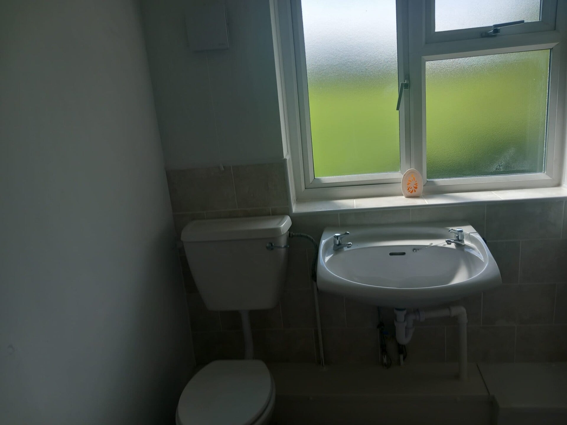 1000001150-standard.jpg