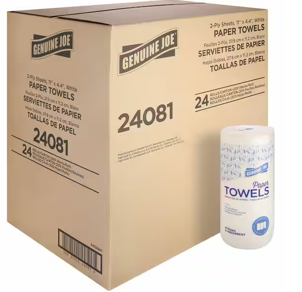 Household Paper Towels Roll 2-Ply (100-Sheets per Roll)