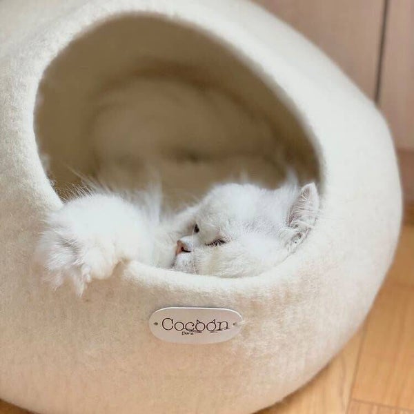 Ull säng till katt och liten hund