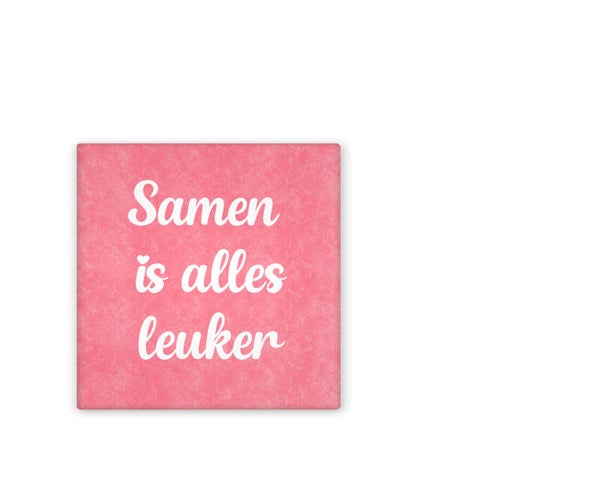 Magneet Samen is alles leuker