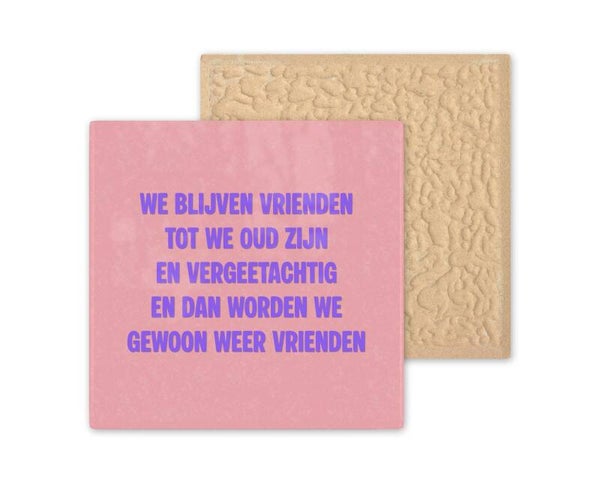 Tegeltje we blijven vrienden tot we oud zijn en versleten