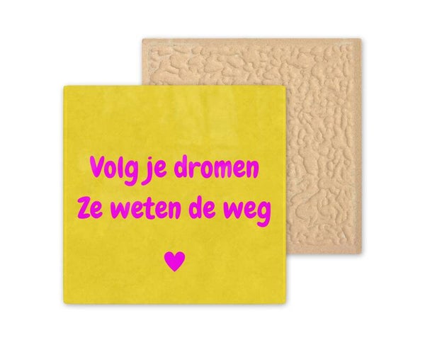 Tegeltje volg je dromen ze weten de weg