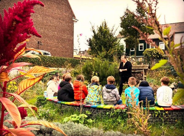 Moestuinles ( inclusief materiaal )