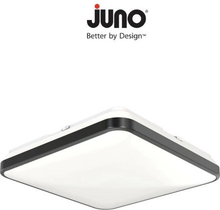 Set of 4 Juno Low Profile Lights